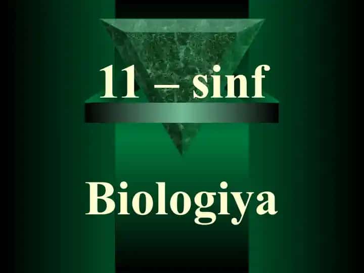 Organik olam filogenezi