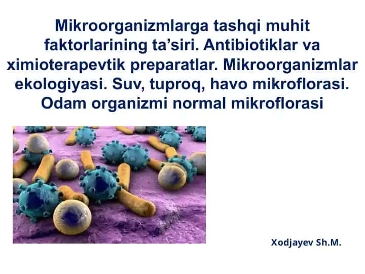 Mikroorganizmlarga tashqimu hit faktorlarining ta’siri