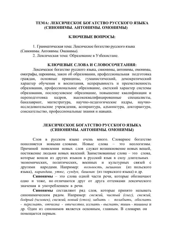 Лексическое богатство русского языка (синонимы, антонимы, омонимы)