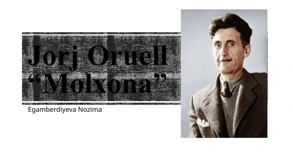 "Molxona"