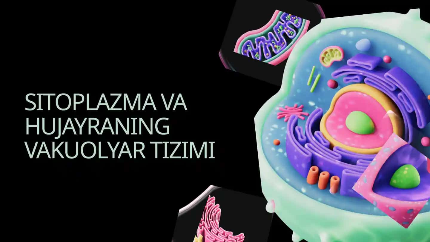 SITOPLAZMA VA HUJAYRANING VAKUOLYAR TIZIMI