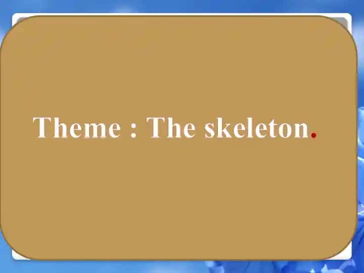 The skeleton