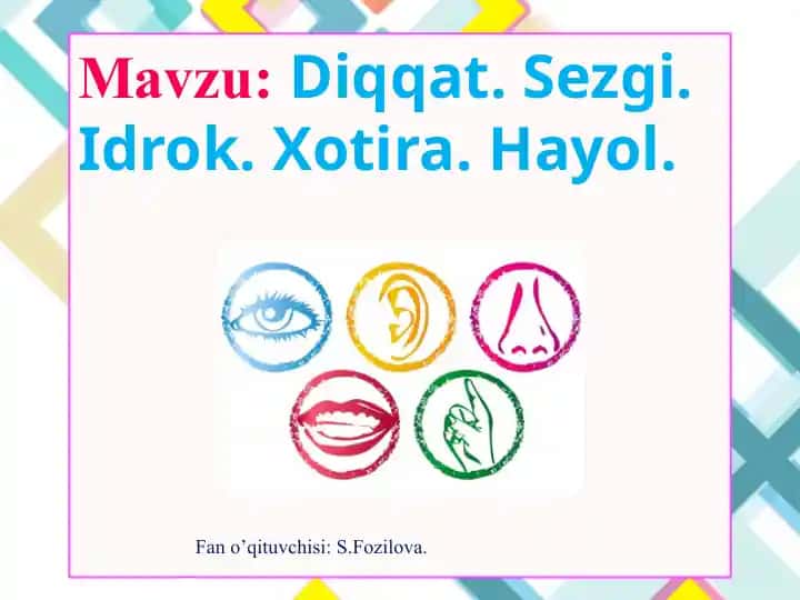 Sezgilar haqida umumiy tushuncha