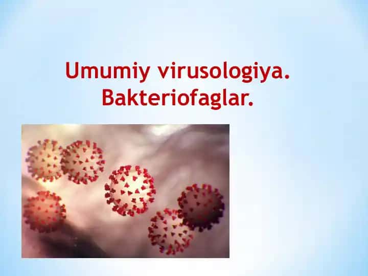 Umumiy virusologiya. Bakteriofaglar