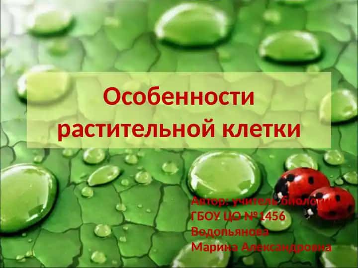 Особенности растительной клетки