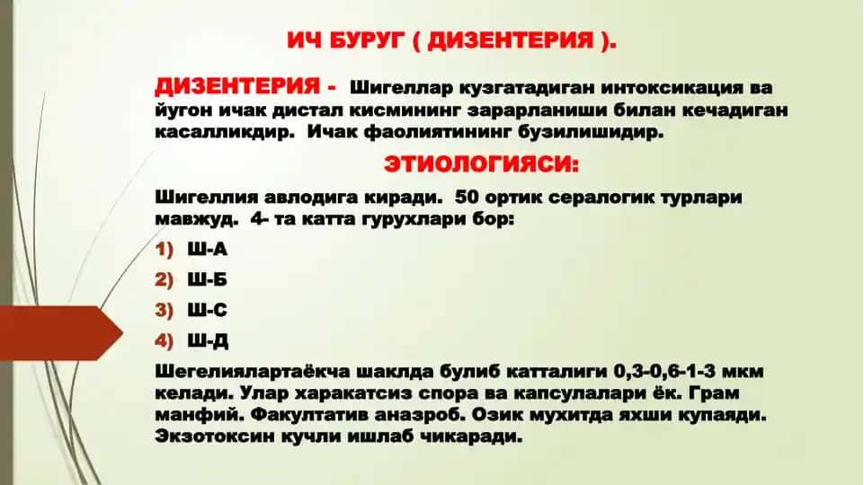 Дизентерия (ИЧ БУРУГ)