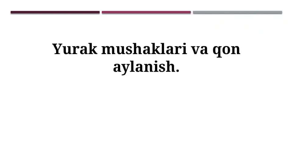 Yurak mushaklari va qon aylanish