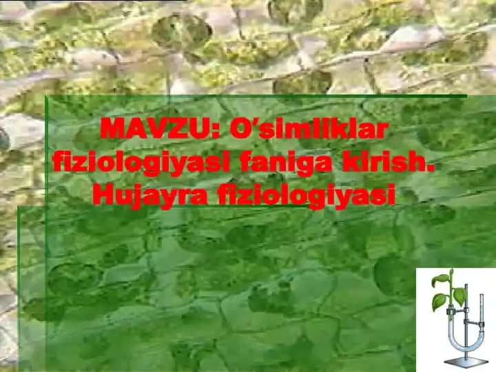 Oʼsimliklar fiziologiyasi faniga kirish. Hujayra fiziologiyasi