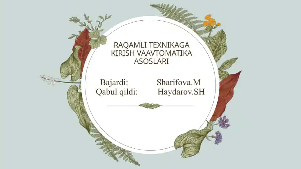 Tranzistorlar