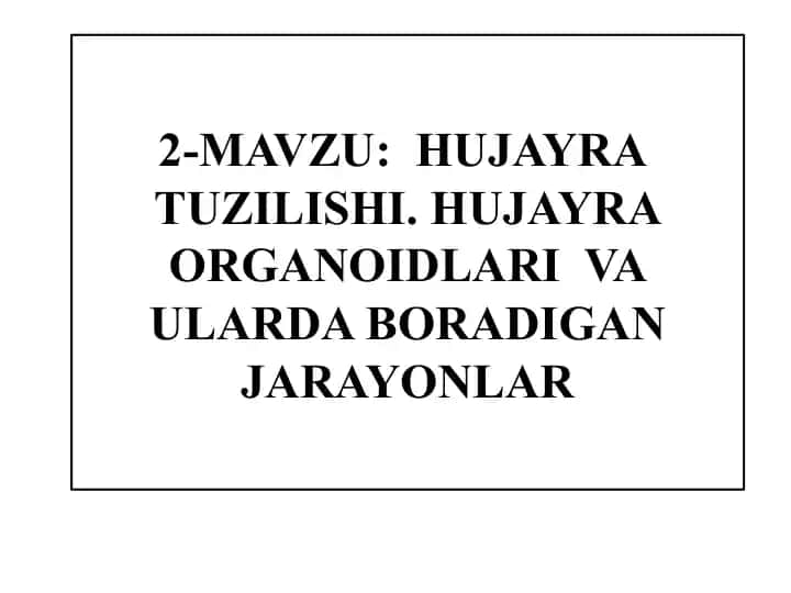 Hujayra tuzilishi