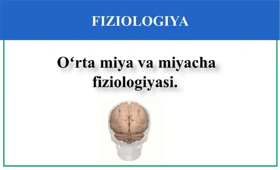 FIZIOLOGIYA