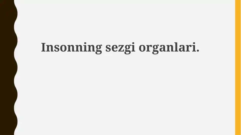 Insonningsezgiorganlari