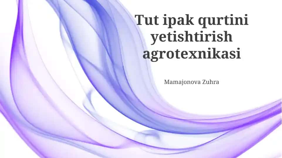 Tut ipak qurtini yetishtirish agrotexnikasi