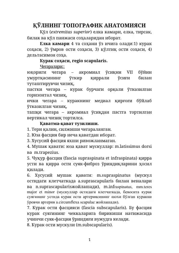 Қўлнинг топографик анатомияси