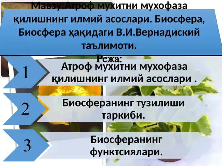 Атроф мухитни мухофаза қилишнинг илмий асослари. Биосфера