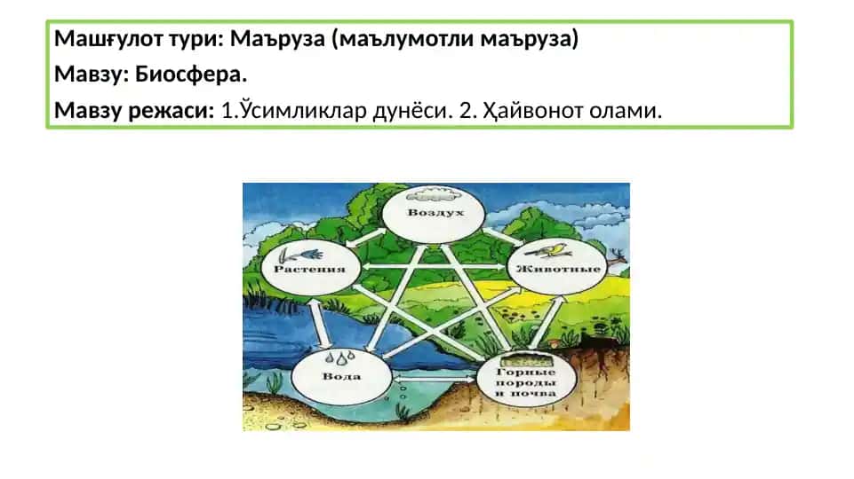 Biosfera