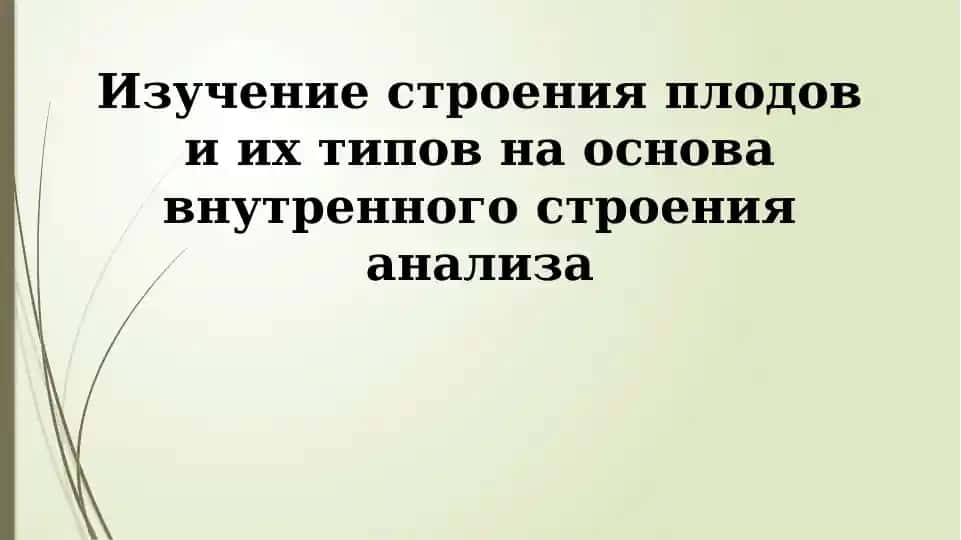 Изучение строения плодов
