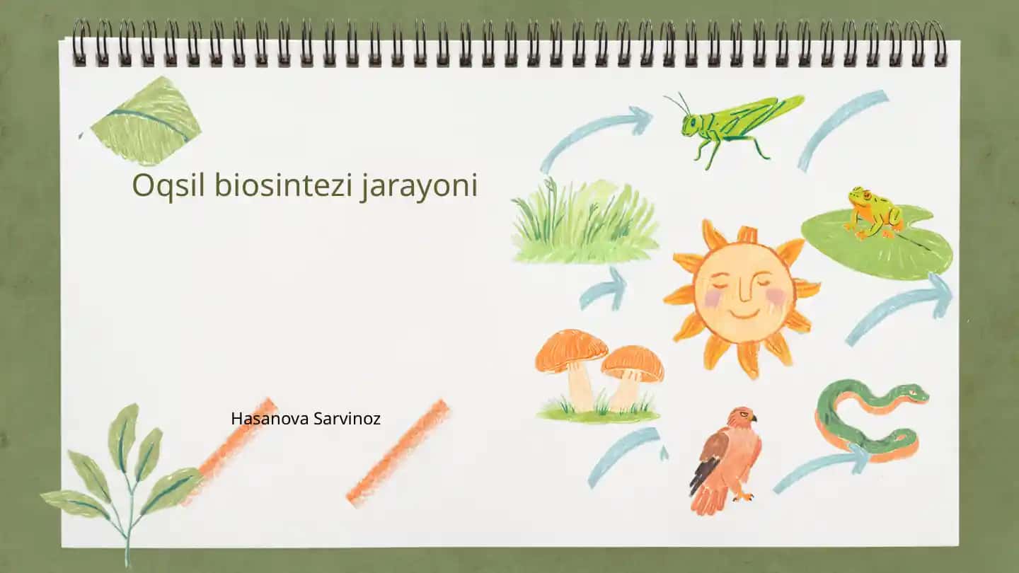 Oqsil biosintezi jarayoni