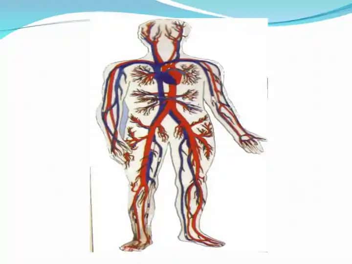 Yurak (Pulmonary)