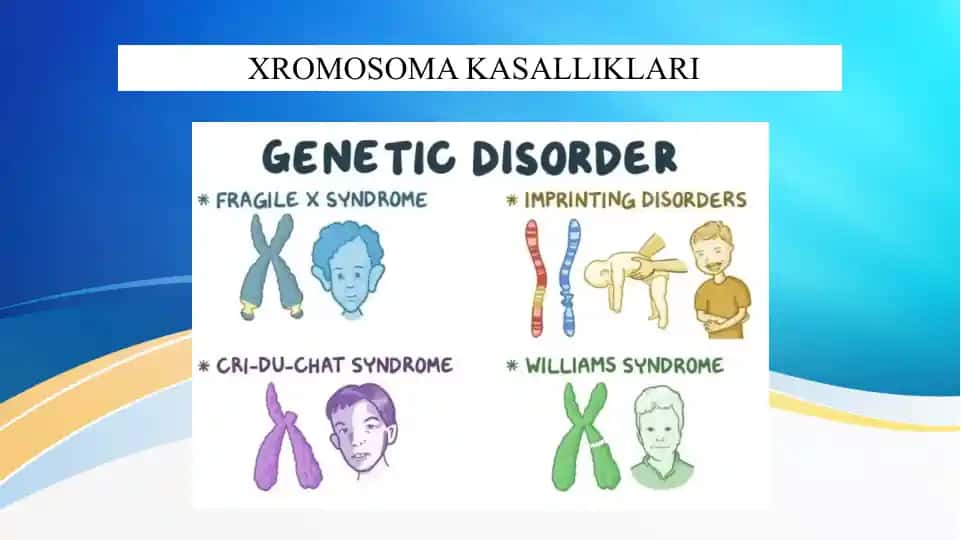 Xromosoma kasalliklari Хромосома касалликлари