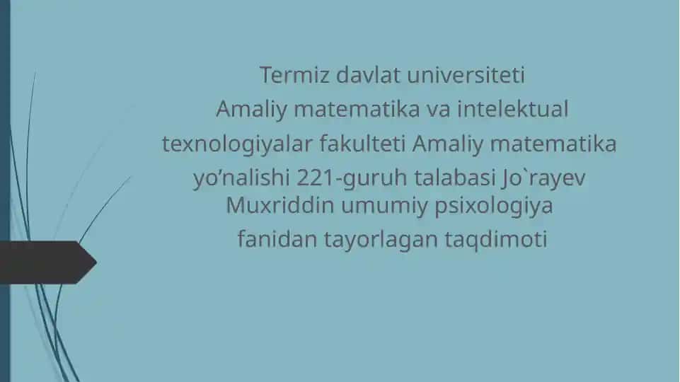 Termiz Davlat Universiteti Amaliy Matematika va Intellektual Texnologiyalar Fakulteti