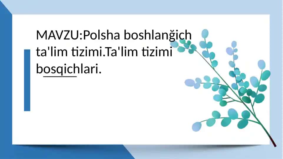 Polsha ta’lim tizimi