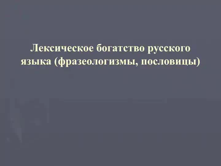 Лексическое богатство русского языка (фразеологизмы, пословицы)