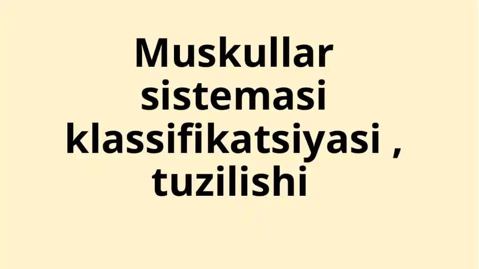 Muskullar sistemasi klassifikatsiyasi