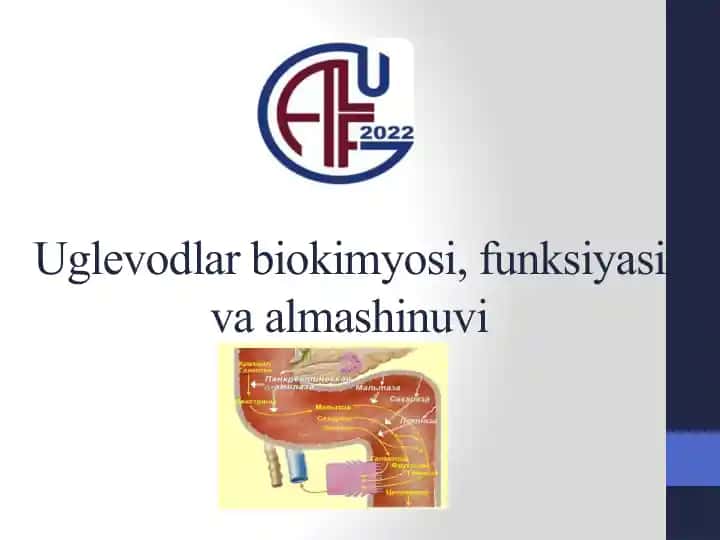 Uglevodlar biokimyosi, funksiyasi va almashinuvi