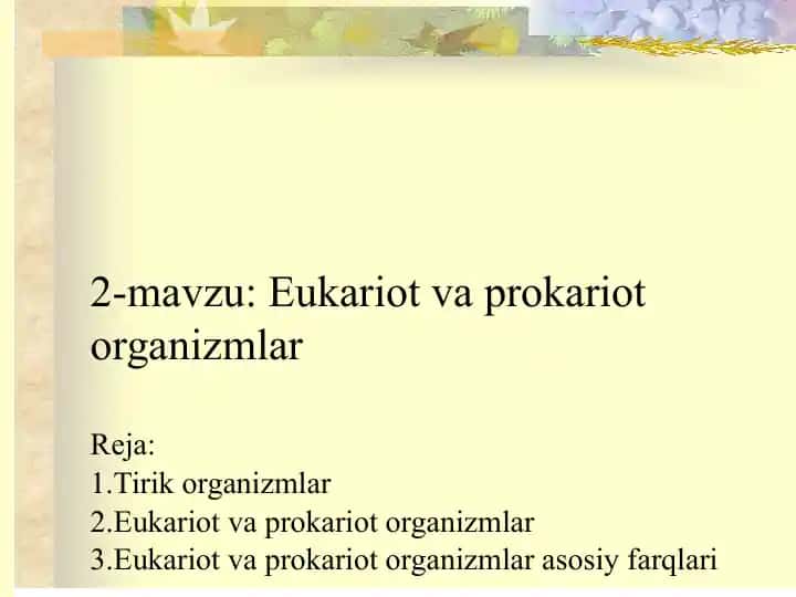 Eukariot va prokariot organizmlar