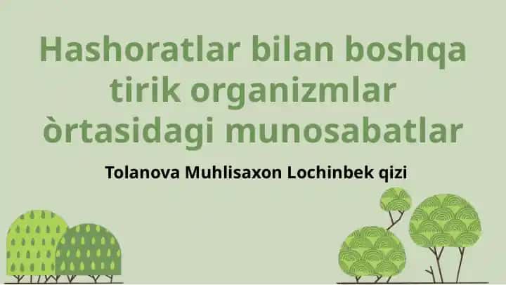 Hashoratlar bilan boshqa tirik organizmlar òrtasidagi munosabatlar