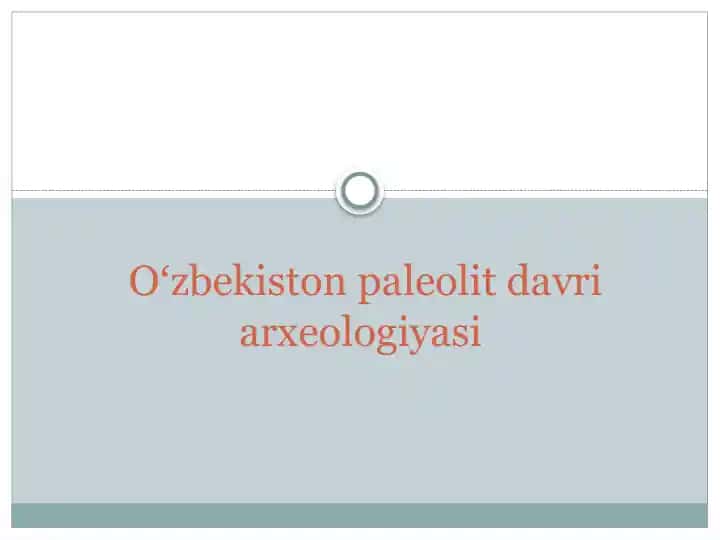 Oʻzbekiston paleolit davri arxeologiyasi