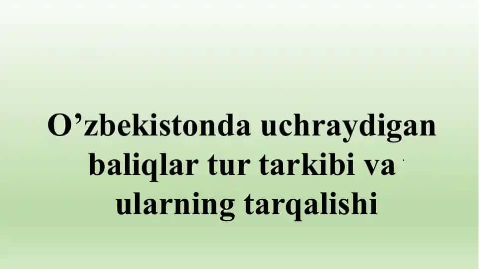 O’zbekistonda uchraydigan baliqlar tur tarkibi va ularning tarqalishi