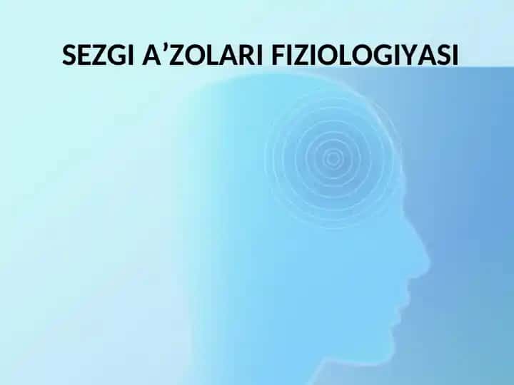 SEZGI A’ZOLARI FIZIOLOGIYASI