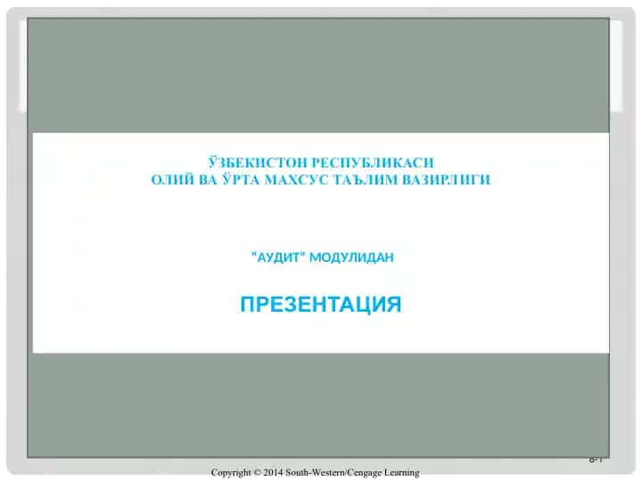 AUDITORLIK TEKSHIRISHNI REJALASHTIRISH