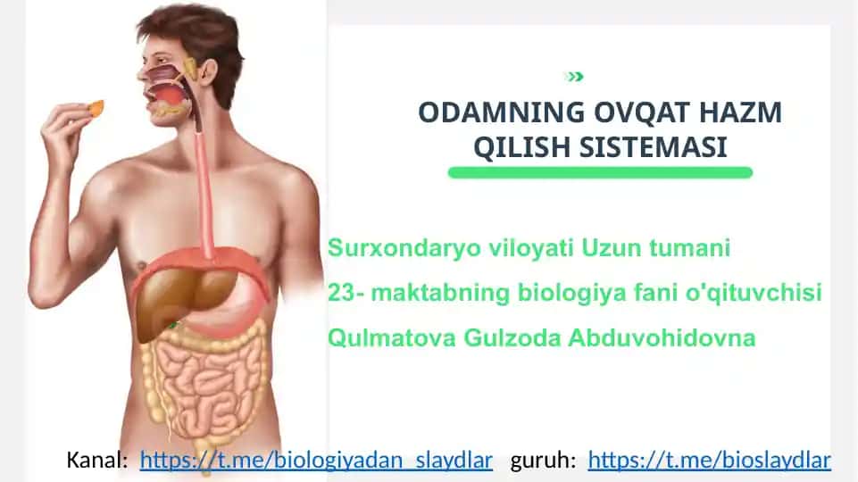 ODAMNING OVQAT HAZM QILISH SISTEMASI