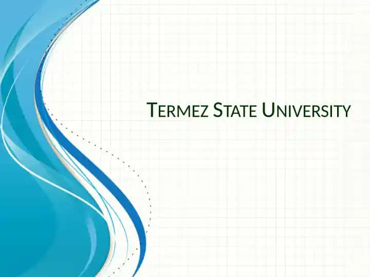 TermezState University
