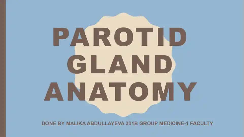 Parotid gland anatomy