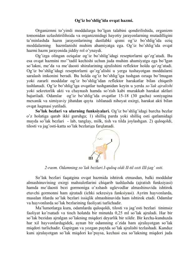 Og’iz bo’shlig’ida ovqat hazmi