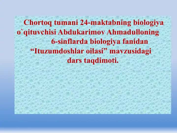 Ituzumdoshlar oilasi