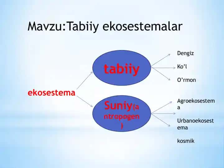 Tabiiy ekosestemalar