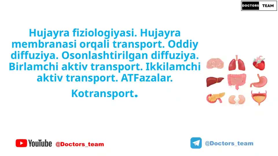 Hujayra fiziologiyasi