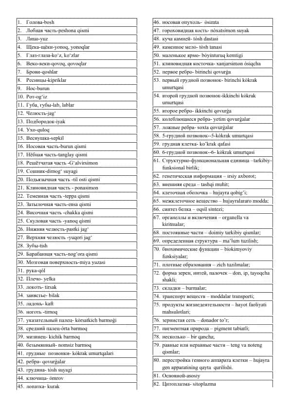 Анатомия человека