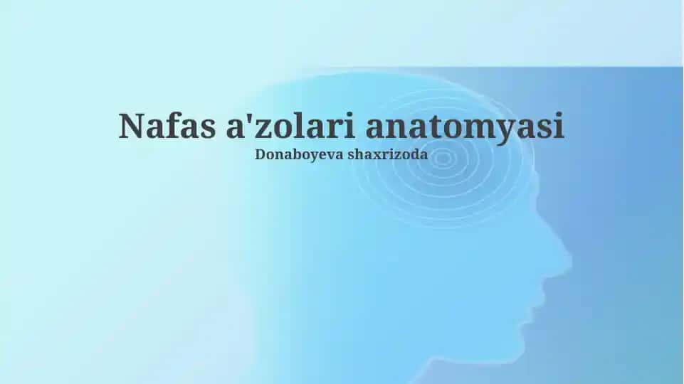Nafas a'zolari anatomyasi