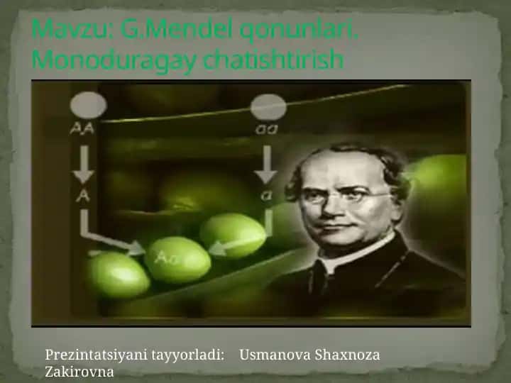 G.Mendel qonunlari. Monoduragay chatishtirish