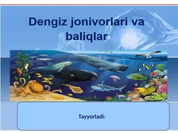 Akulalar