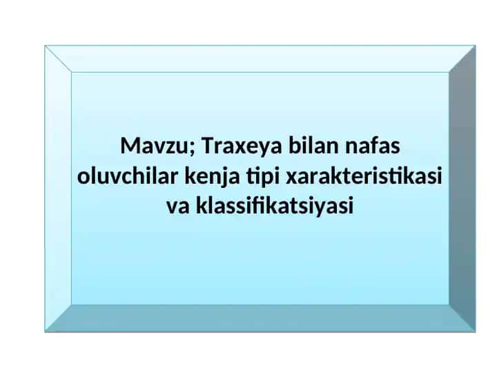 Hasharotlar sinfi vakillari.