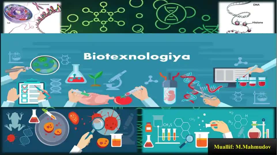 BIOTEXNOLOGIYA