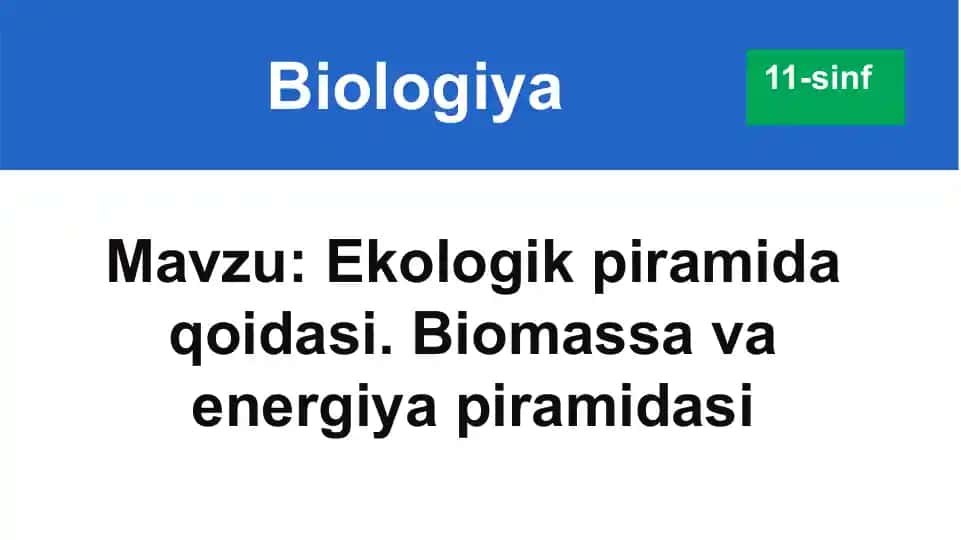 Ekologik piramida qoidasi. Biomassa va energiya piramidasi