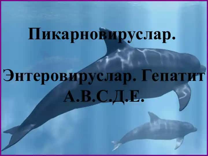 Гепатит А вируси